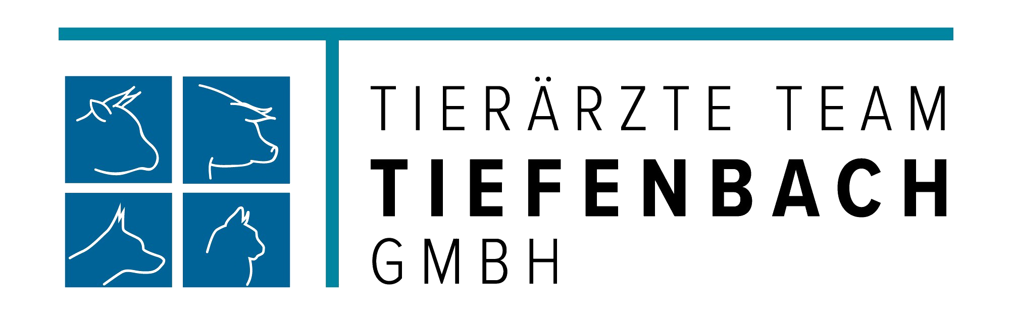 Startseite Logo Tierärzte Team Tiefenbach